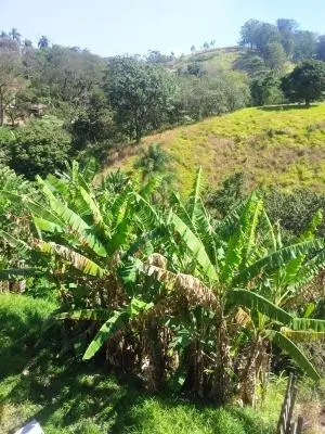 Foto 2 do imóvel