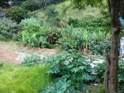 Foto 7 do imóvel